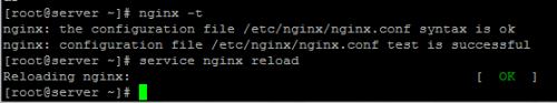 cek konfigurasi nginx, cara test konfigurasi nginx centos, menguji virtual host nginx