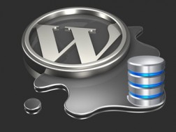establishing-a-database-connection, masalah wordpress, wordpress error, database not running, database website error