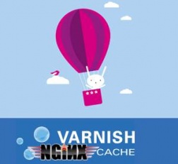 cara install varnish cache, cara menggunakan varnish cache, varnish cache dengan nginx, varnish with nginx web server, install varnish cacahe di vps, varnish cache ubuntu