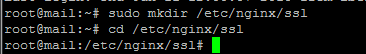 menambahkan ssl di nginx, memasukkan ssl nginx, setting ssl nginx, insert ssl nginx