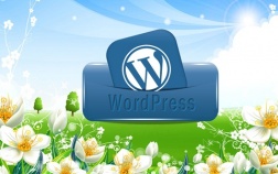 menentukan theme wordpress, memilih template wordpress, menentukan theme wordpress, theme wordpress terbaik, tips wordpress